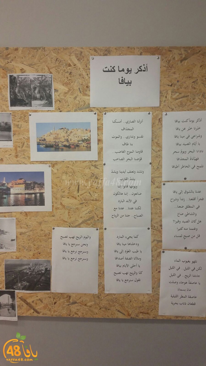 osbo3 thaqafa fonon (9).jpg